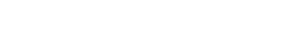 Wilderness Brothers